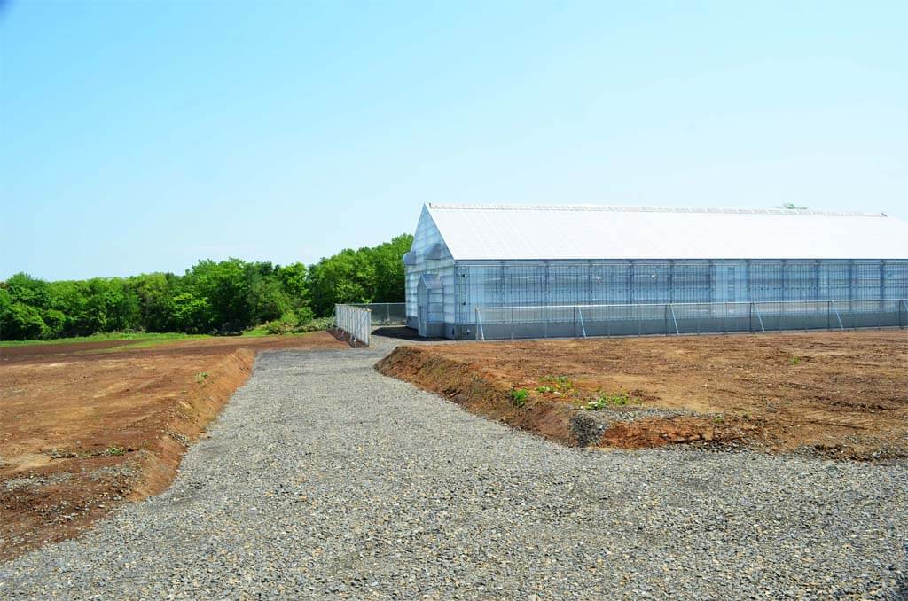 種苗管理センター北海道中央農場ばれいしょMnT生産施設新築工事